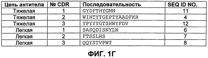 Антитела против vegf и их применения (патент 2567639)