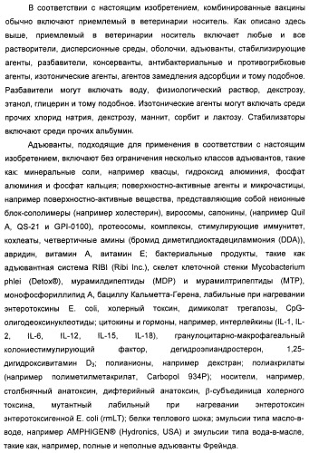 Поливалентные вакцины для собак против leptospira bratislava и других патогенов (патент 2400248)