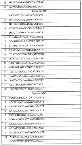 Биочип и способ типирования генов гемагглютинина и нейраминидазы вируса гриппа а (патент 2560591)
