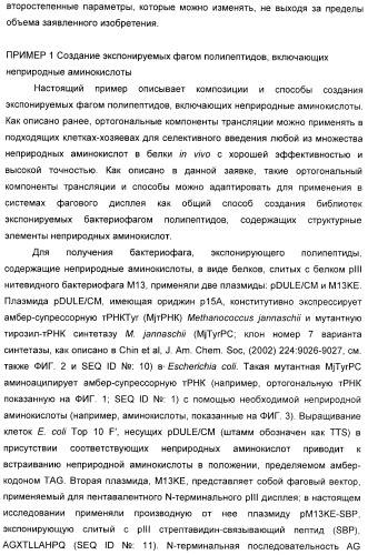 Селективная посттрансляционная модификация экспонируемых фагами полипептидов (патент 2459866)
