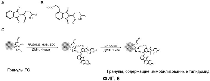 Способ скрининга с использованием фактора, являющегося мишенью для талидомида (патент 2528380)