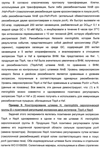 Нейссериальные вакцинные композиции, содержащие комбинацию антигенов (патент 2494758)