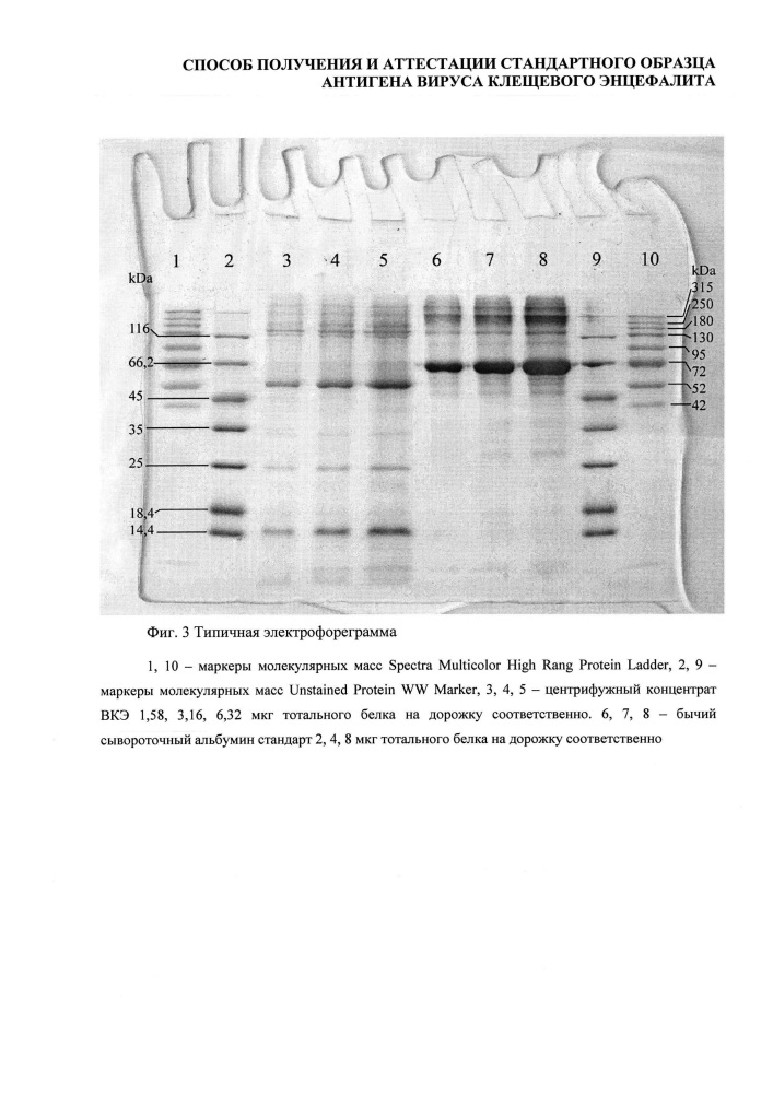 Способ получения и аттестации стандартного образца антигена вируса клещевого энцефалита (патент 2667957)