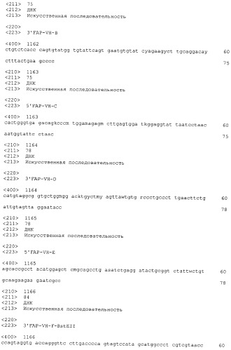 Pscaxcd3, cd19xcd3, c-metxcd3, эндосиалинxcd3, epcamxcd3, igf-1rxcd3 или fap-альфаxcd3 биспецифическое одноцепочечное антитело с межвидовой специфичностью (патент 2547600)