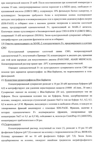 Днк, кодирующая модифицированное антитело или соединение с активностью агониста тро, способ их получения и животная клетка или микроорганизм, их продуцирующие (патент 2422528)