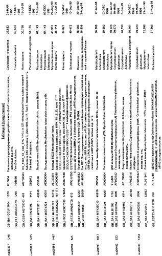 Гены corynebacterium glutamicum, кодирующие белки метаболических путей (патент 2306339)