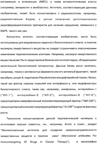 Человеческие моноклональные антитела к рецептору эпидермального фактора роста (egfr), способ их получения и их использование, гибридома, трансфектома, трансгенное животное, экспрессионный вектор (патент 2335507)