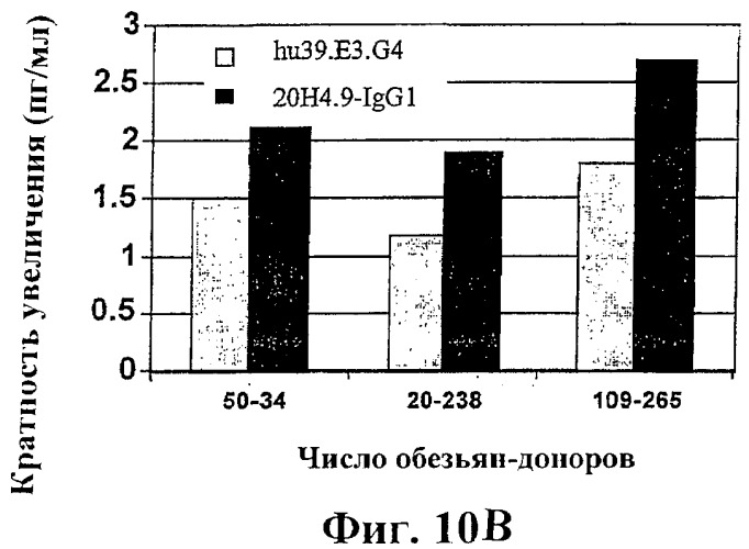 Человеческие антитела против человеческого 4-1вв (cd137) (патент 2376316)