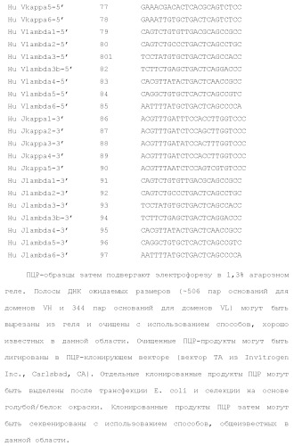 Слитые белки альбумина (патент 2369404)
