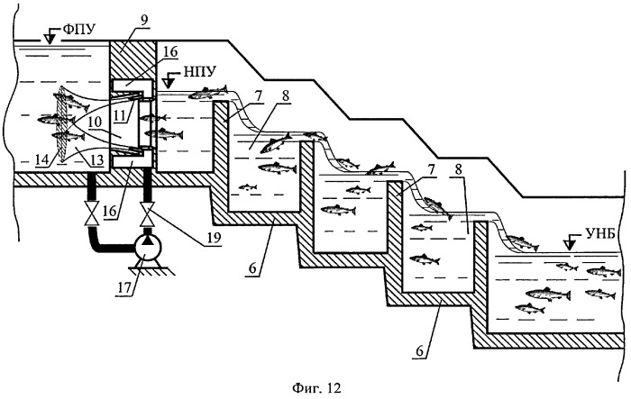 Способ пропуска рыб через рыбоход из нижнего бьефа гидроузла в верхний бьеф (варианты) (патент 2377365)
