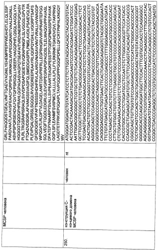 Pscaxcd3, cd19xcd3, c-metxcd3, эндосиалинxcd3, epcamxcd3, igf-1rxcd3 или fap-альфаxcd3 биспецифическое одноцепочечное антитело с межвидовой специфичностью (патент 2547600)