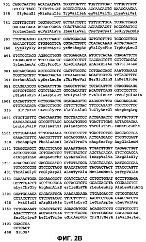 Анализы и способы применения биомаркеров (патент 2409817)