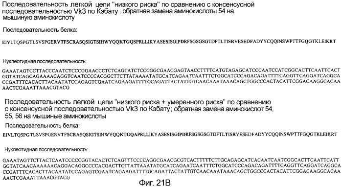 Не мышиное анти-m-csf-антитело (варианты), его получение и использование (патент 2401277)