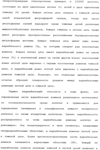 Способ лечения волчанки (патент 2396980)