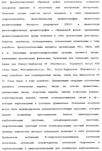 Новый лиганд рецептора цитокина zcytor17 (патент 2360923)