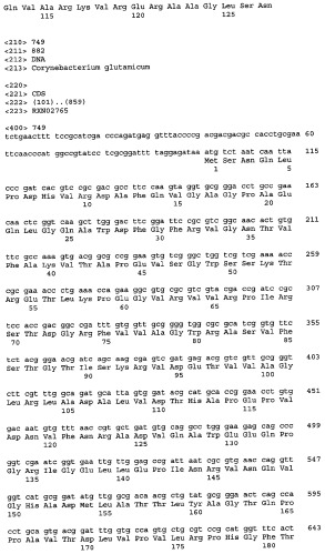 Гены corynebacterium glutamicum, кодирующие белки, участвующие в метаболизме углерода и продуцировании энергии (патент 2321634)