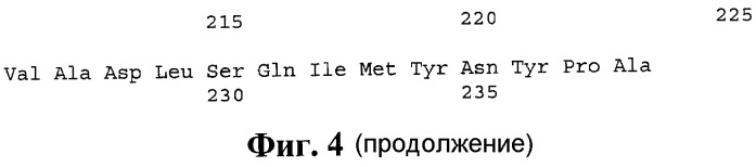 Профилактическая или терапевтическая полиэпитопная противотуберкулезная вакцинная конструкция, обеспечивающая индукцию клеточного иммунного ответа cd4+ или cd8+ т-лимфоцитов (патент 2539035)