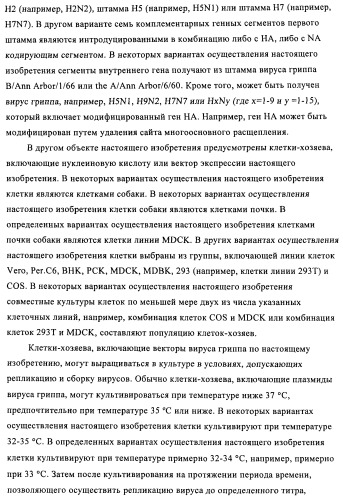 Способы и композиции для экспрессии антисмысловой вирусной рнк в клетках собаки (патент 2457250)