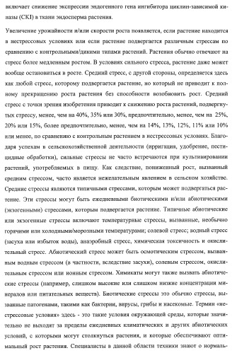 Растения, имеющие улучшенные характеристики роста, и способы их получения (патент 2463352)