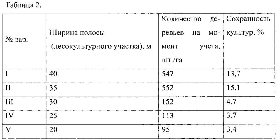 Способ создания полосных культур сосны кедровой сибирской (патент 2615003)