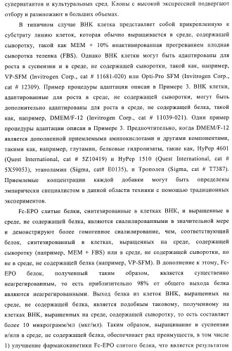 Fc-эритропоэтин слитый белок с улучшенной фармакокинетикой (патент 2370276)