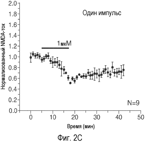 Модулятор nmda-рецептора со стабилизированной вторичной структурой и его применение (патент 2566821)