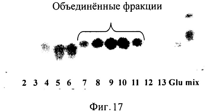 Способ получения гидроксилированного l-лейцина и бактерия, трансформированная днк, кодирующей диоксигеназу (патент 2468085)