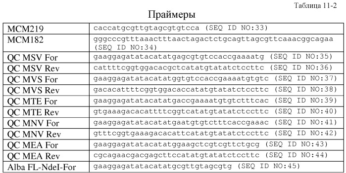 Варианты изопренсинтазы, применяемые для улучшения продуцирования изопрена микроорганизмами (патент 2516343)