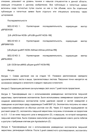 Улучшенная трансформация сои (патент 2389797)