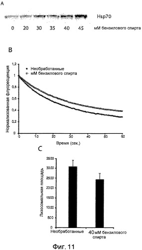 Применение hsp70 в качестве регулятора ферментативной активности (патент 2521672)