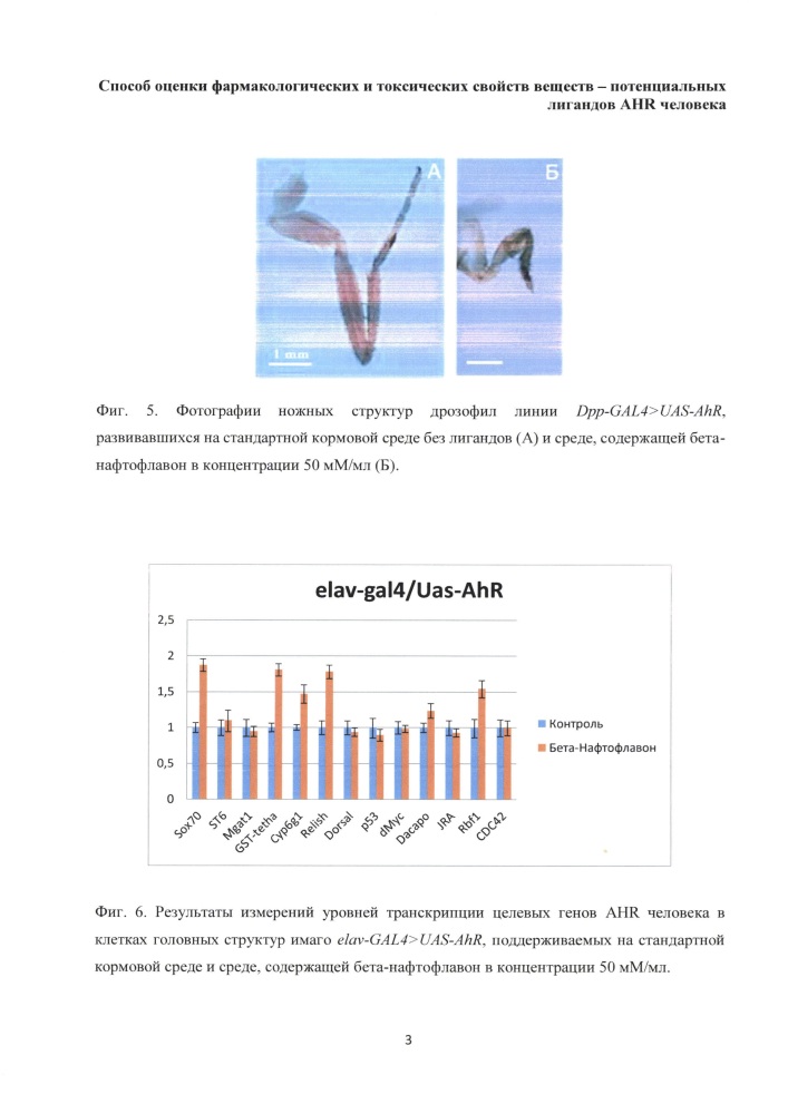 Способ оценки фармакологических и токсических свойств веществ - потенциальных лигандов ahr человека (патент 2664433)