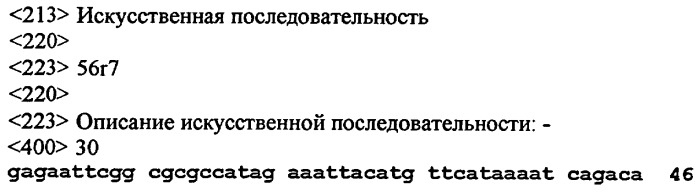 Способ получения гетерологичного белка в прорастающих семенах двудольных растений (патент 2273665)