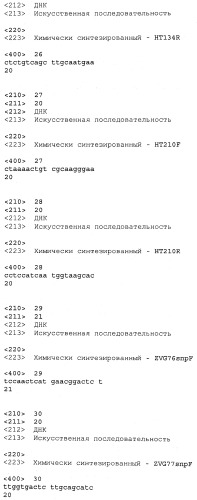 Подсолнечник с низким содержанием насыщенных жиров и соответствующие способы (патент 2489849)