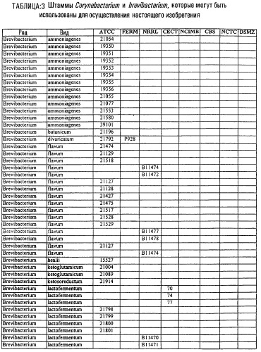 Гены corynebacterium glutamicum, кодирующие белки резистентности и толерантности к стрессам (патент 2303635)