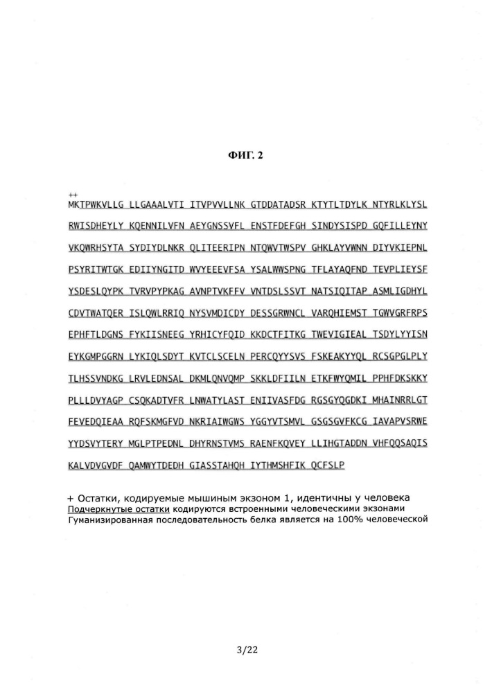 Животные, содержащие гуманизированную дипептидилпептидазу iv (dpp4) (патент 2648166)