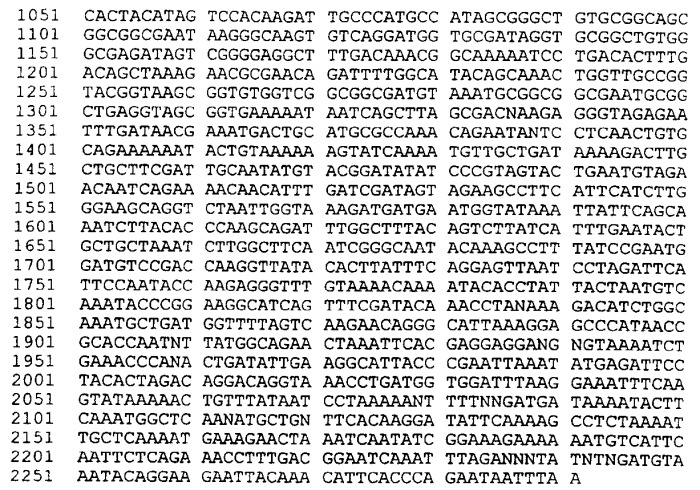 Антигены neisseria meningitidis (патент 2343159)