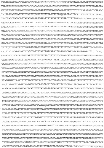 Применение s1p (патент 2362565)