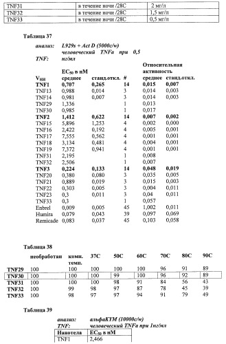 Улучшенные нанотела против фактора некроза опухоли-альфа (патент 2464276)