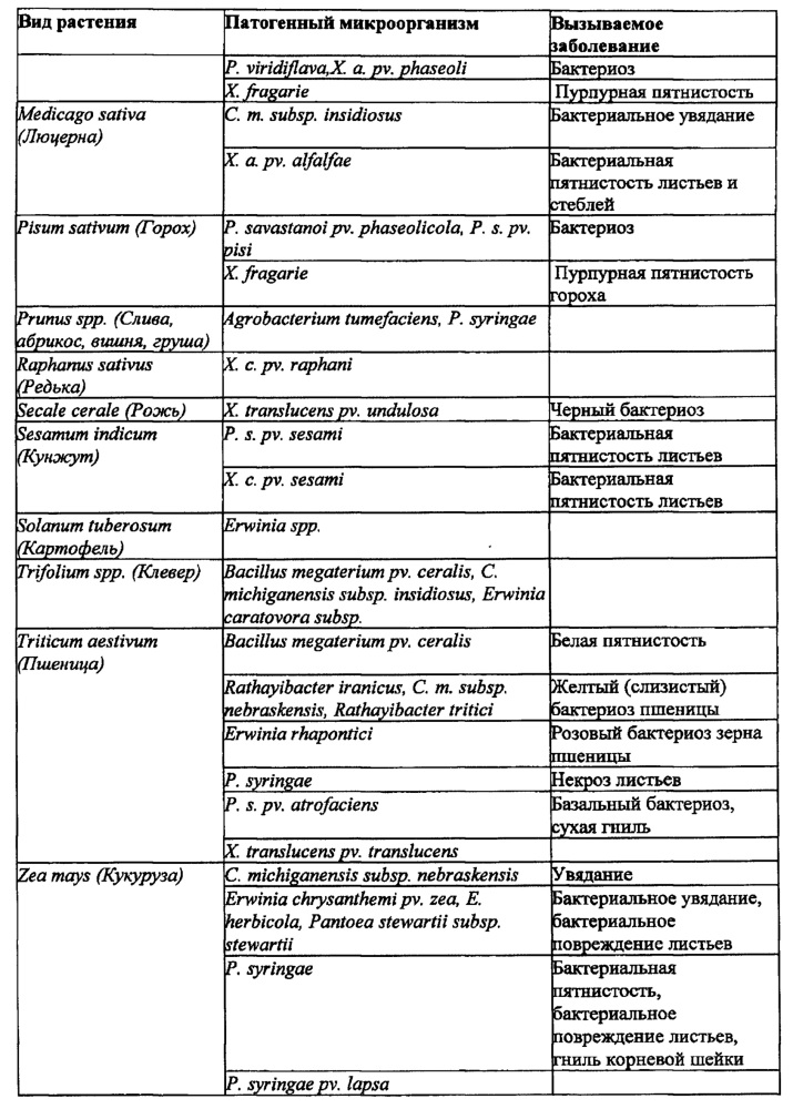 Покровная композиция для протравливания семян и стерилизации поверхности (патент 2655961)