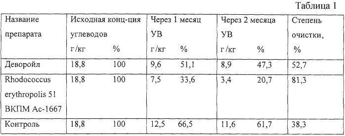 Штамм rhodococcus erythropolis для разложения нефти и нефтепродуктов (патент 2257410)