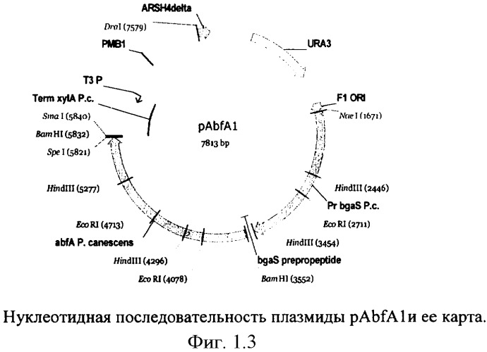 Способ получения ферментного препарата для расщепления гемицеллюлозных гетерополисахаридов клеточной стенки растений и ферментный препарат (варианты) (патент 2358756)