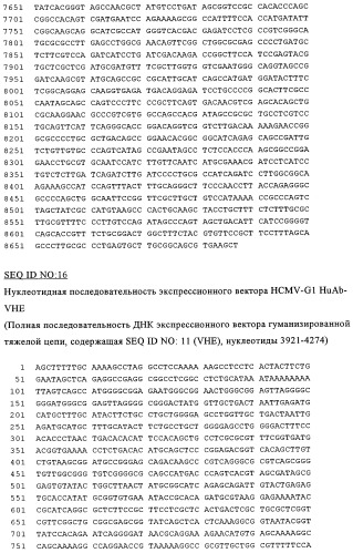 Терапевтические связывающие молекулы (патент 2328506)