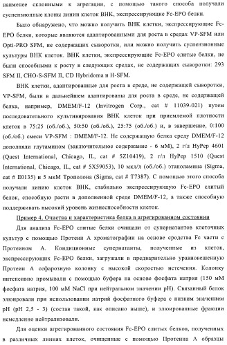 Fc-эритропоэтин слитый белок с улучшенной фармакокинетикой (патент 2370276)