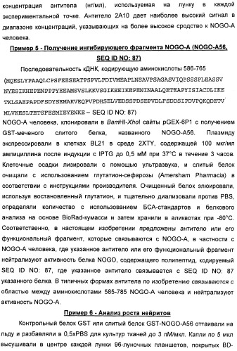 Nogo-a-нейтрализующие иммуноглобулины для лечения неврологических заболеваний (патент 2362780)