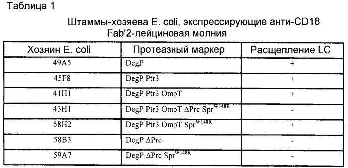 Бактерия е.coli, продуцирующая гетерологичный полипептид, и способ продуцирования полипептида (патент 2287574)