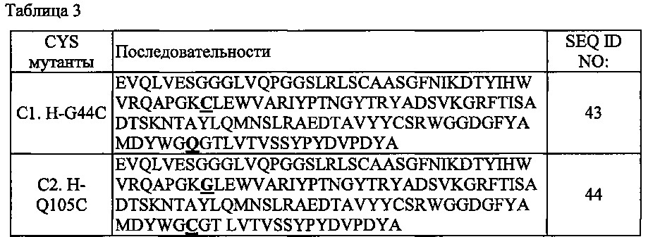 Библиотека fv на основе комбинаций белков и способ ее получения (патент 2639505)