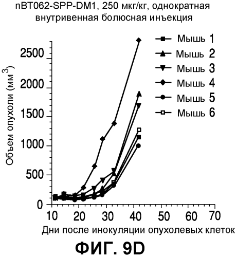 Применения иммуноконъюгатов, мишенью которых является cd138 (патент 2561041)