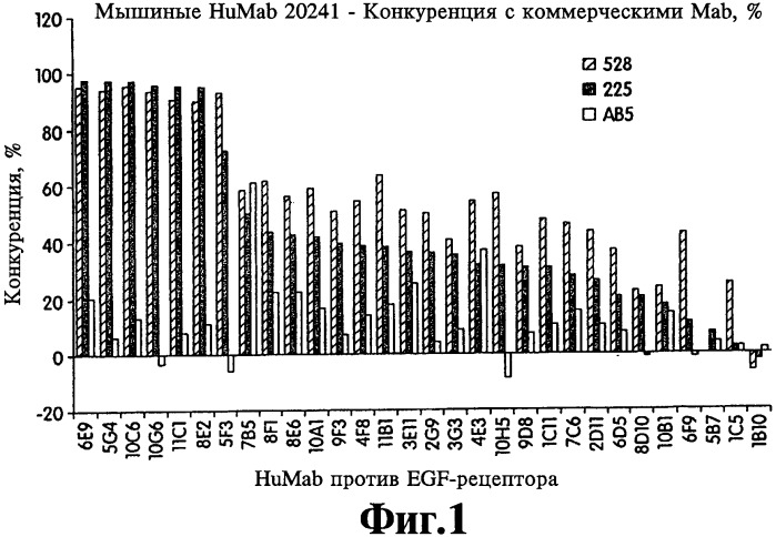 Человеческие моноклональные антитела к рецептору эпидермального фактора роста (egfr), способ их получения и их использование, гибридома, трансфектома, трансгенное животное, экспрессионный вектор (патент 2335507)