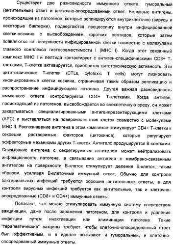 Полинуклеотидная последовательность, кодирующая полипептид вируса папилломы человека, ее применение, а также содержащие ее вектор и фармацевтическая композиция (патент 2354701)