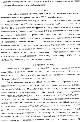 Способ лечения сердечно-сосудистого заболевания с применением растворимого ctla4 (патент 2353384)